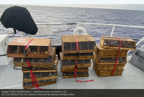 Four Dominican Nationals Sentenced for Smuggling and Drowning Tropical Birds 3 Recovered crates from US v De Jesus et al